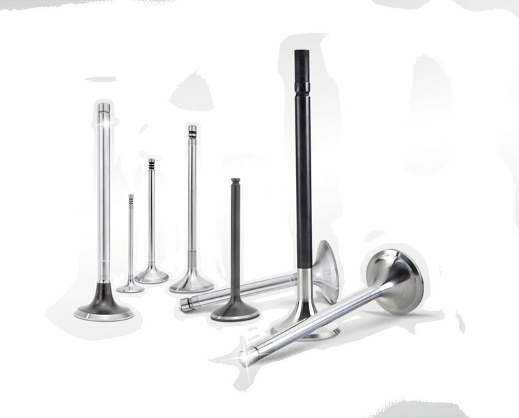INTAKE AND EXHAUST VALVES